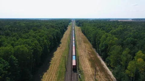 A freight train carries cargo in a container Stock-Footage 310139051