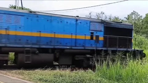 Freight Train Carrying Cargo Moving on Railway Tracks Medium Shot Vidéo 334718068