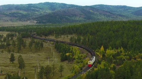 A freight train is carrying coal through the forests Stock Footage 101573502