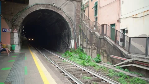 Freight Train coming out of Tunnel and passing Train Station in Vernazza Video stock 158501785