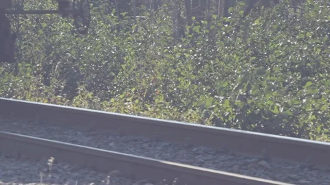 Freight train Stock Footage 129618307