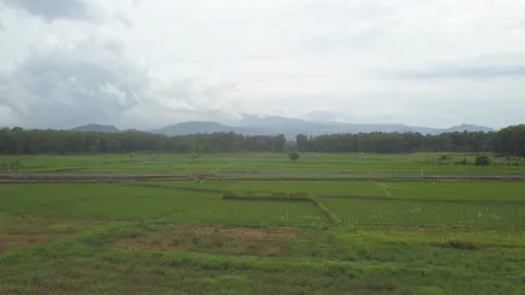 Freight train Stock Footage 263478075