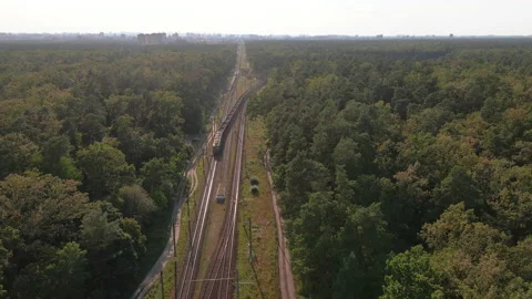 Freight train. A freight train travels through a railroad in the forest. Stock Footage 135780793