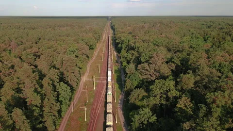 Freight train. A freight train travels through a railroad in the forest. Stock Footage 135781580