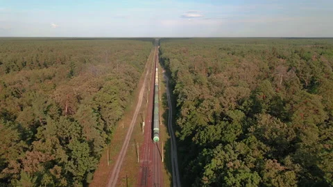 Freight train. A freight train travels through a railroad in the forest. Stock Footage 135781620