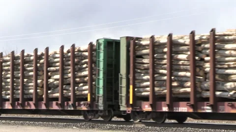 Freight Train Lumber Train Car Loaded with Logs  4K Video stock 180300991