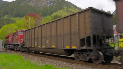 Freight train moving on the forest background in slow motion Stock Footage 233452818