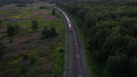 Freight train moving through autumn forest. Aerial following shot. 4K footage 스톡 동영상 113529935