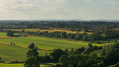 Freight train moving through green valley under soft afternoon light. Cargo rail Stock Footage 313127572