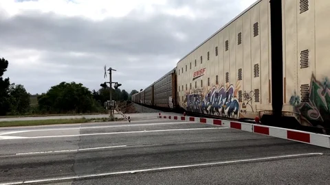 Freight Train Passes in Background of Rail Crossing Arm Stock Footage 81415294