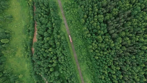 Freight train passes by rail past the forest Stock Footage 119693935