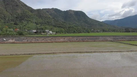 Freight train passes by rice fields in Vietnam overlooking the mountains Stock Footage 117441377