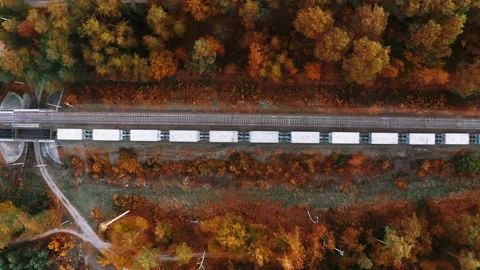 Freight train passes through autumn forest from aerial top view. Stock Footage 166099097