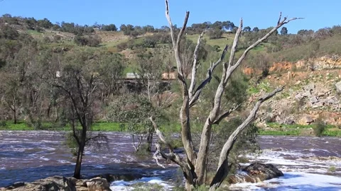 Freight Train Passing By Bells Rapids, Swan River Perth In Winter Video stock 158922506