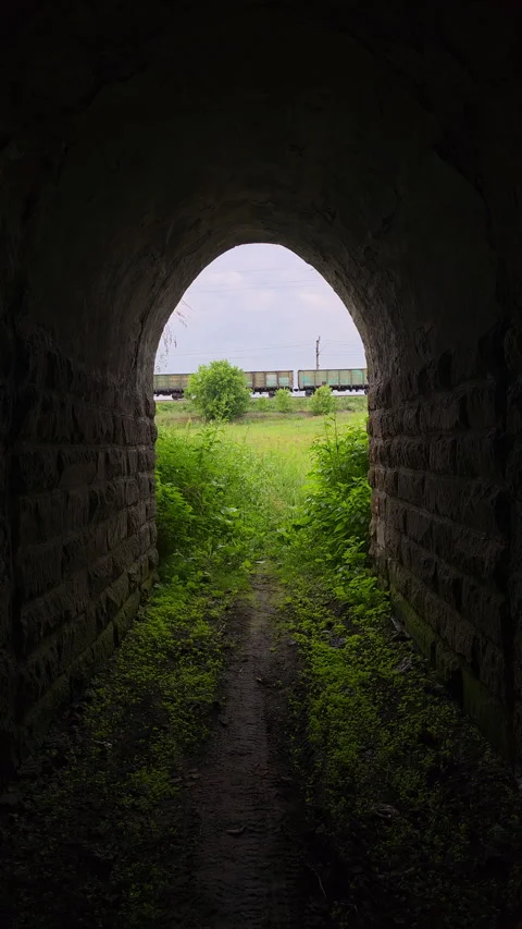Freight train passing through a verdant landscape as seen from a dark stone 库存影片 340303743