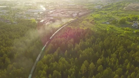 Freight train rides in a pine forest, top view. Video stock 133621026