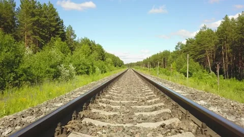 Freight train rides in a pine forest, top view. Stock-Footage 133622436