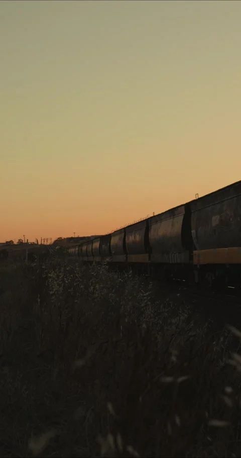 Freight train sunset Stock Footage 171141725