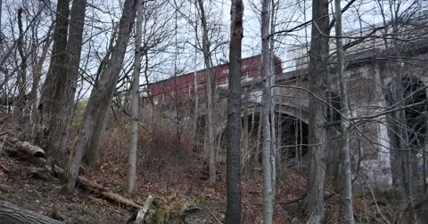 Freight Train through woods 스톡 동영상 58300729