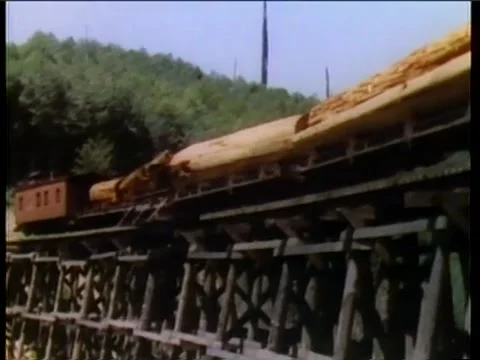 Freight train transporting sequoia logs across bridge, 1950s Stock Footage 58858779