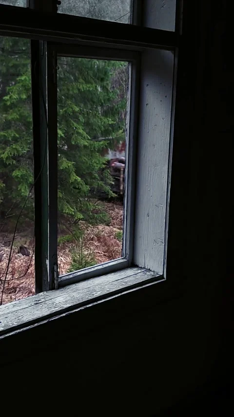Freight train transporting timber logs viewed through a train window Video stock 333901808
