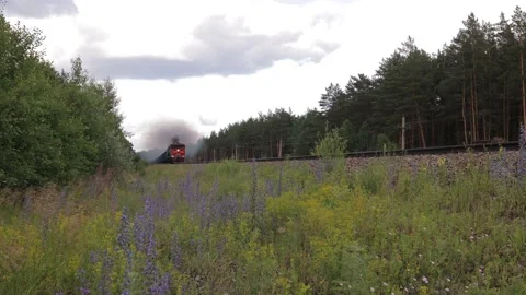 Freight train travels through the forest to Russia Stock Footage 134336293