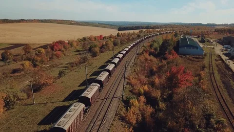 Freight train with wagons is passing by rail near landings with trees Stock-Footage 96606851
