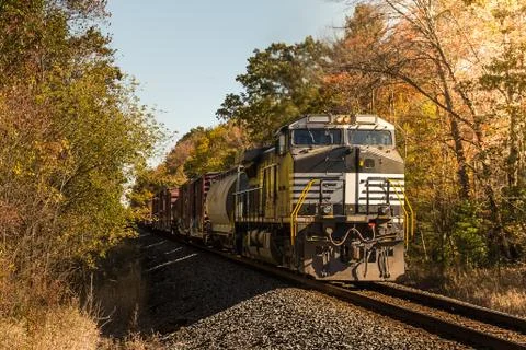 Freight train in the woods Stock Photos