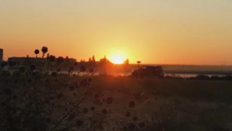 Freight trucks driving on a highway in at sunset Stock Footage 78736404