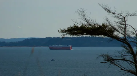 Freighter And Tree Stock Footage 36642795