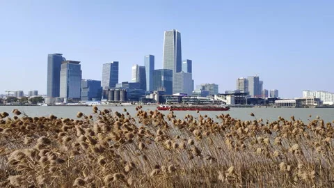 Freighter driving along the Huangpu River in Shanghai Stock Footage 172134635