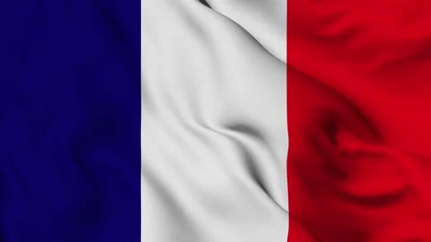 French 4K waving flag in loop Stock Footage 139565486