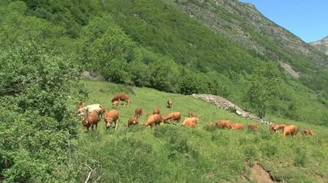 French Alps Stock Footage