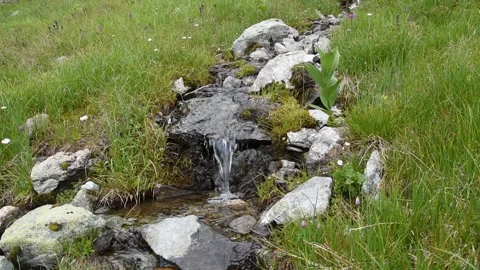 French Alps Stock Footage 135973193