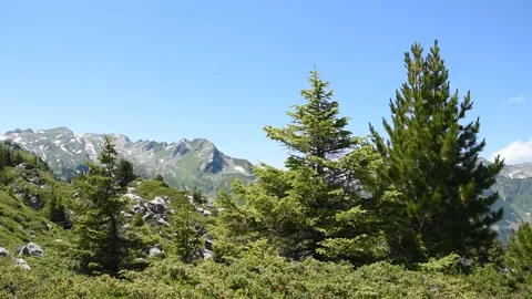 French Alps Stock Footage 136650839