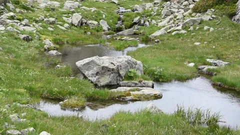 French Alps Stock Footage 137465517