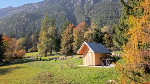French Alps Nature – Autumn Colors in Mountain Landscape Stock Footage 319382053
