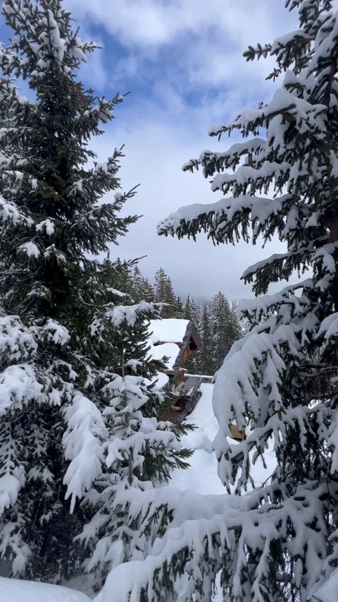 French alps with snowy trees and a small chalet in the background by winter Stock Footage 334430146