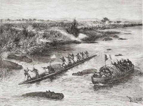 French And British Explorers Hunting Hippopotamus On The Congo River In The 1 Stock Photos