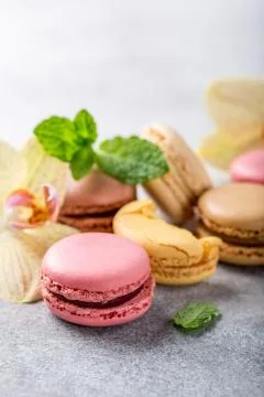 French assorted macarons 스톡 사진