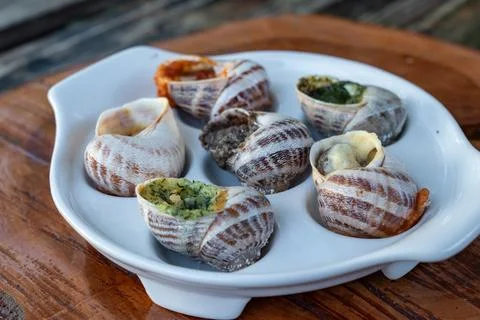 French Baked Escargot Dish with Assorted Culinary Stuffing Close Up Fotos Stock