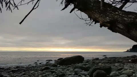 French Beach - Sunset over ocean through tree Stock Footage 174506959