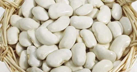 French Beans called Soissons Beans, phaseolus vulgaris against White Background Stock Footage