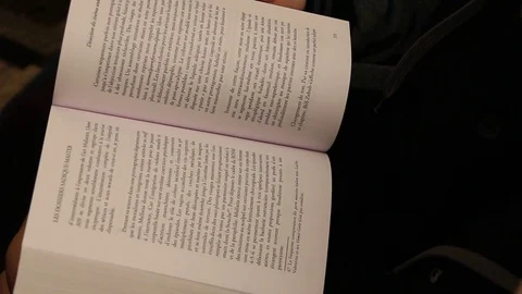 French book, pages turning quickly Stock Footage 79046607