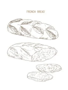 French bread pastry , hand drawn sketch vector. Stock Illustration