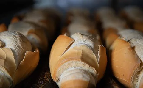 French bread in production inside the bakery Stock Photos