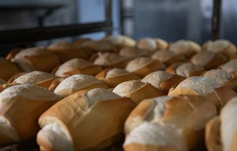 French bread in production inside the bakery Stock Photos