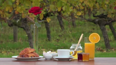 French breakfast on vineyards background, Stock Footage 56516519