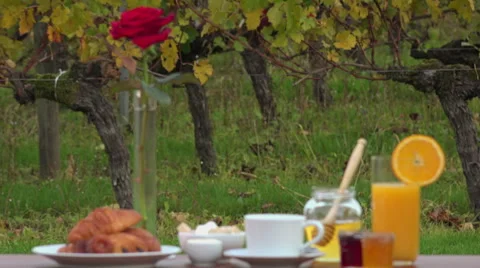 French breakfast on vineyards background, Stock Footage 56517349