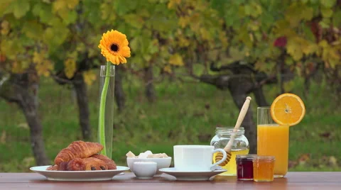 French breakfast on vineyards background, Video stock 56521674